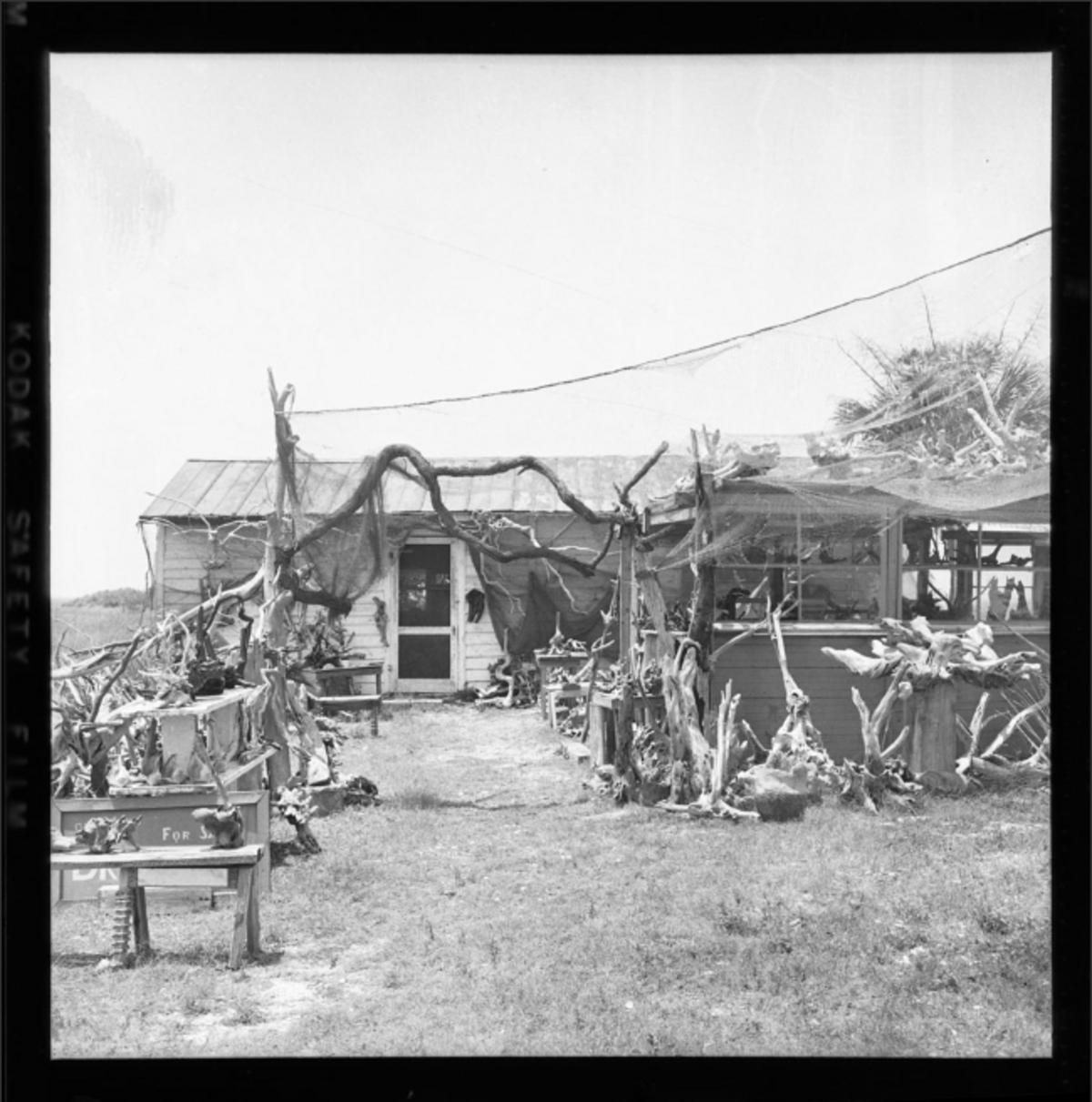 Driftwood’s home on U.S. 21 on Harbor Island, where he sold driftwood art from the mid-1950s to mid-1970s.